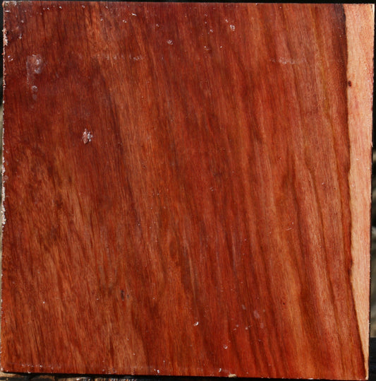 Extra Fancy Beefwood Bowl Blank