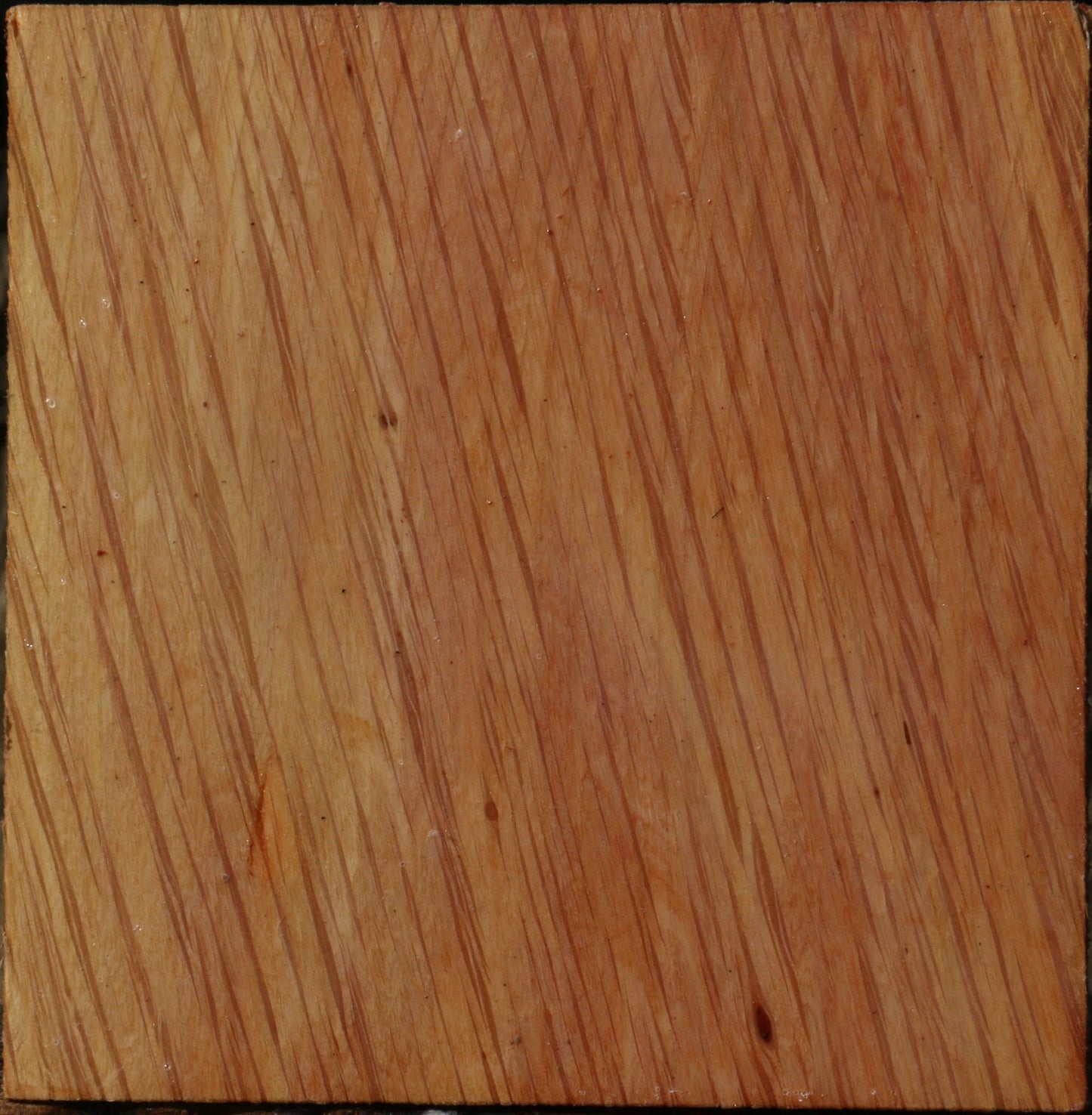 Figured Beefwood Bowl Blank