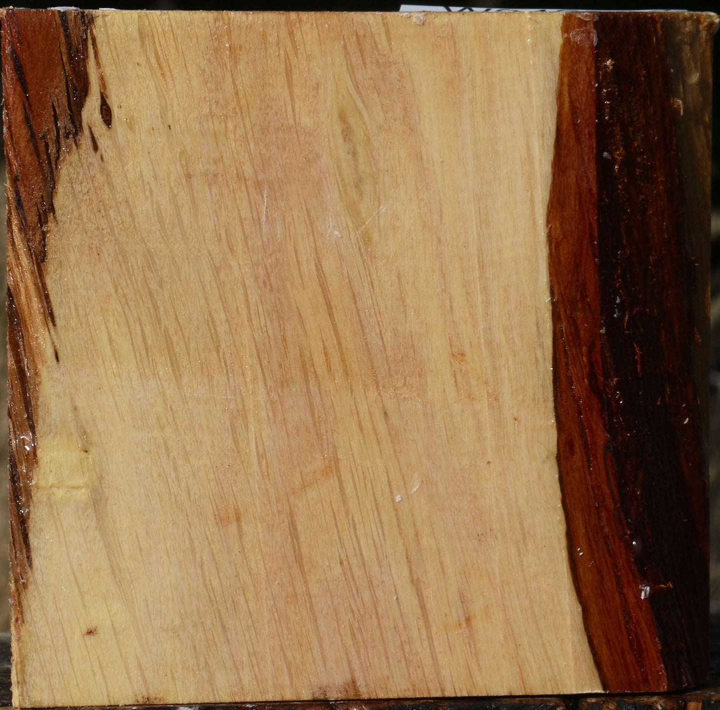 Figured Beefwood Bowl Blank