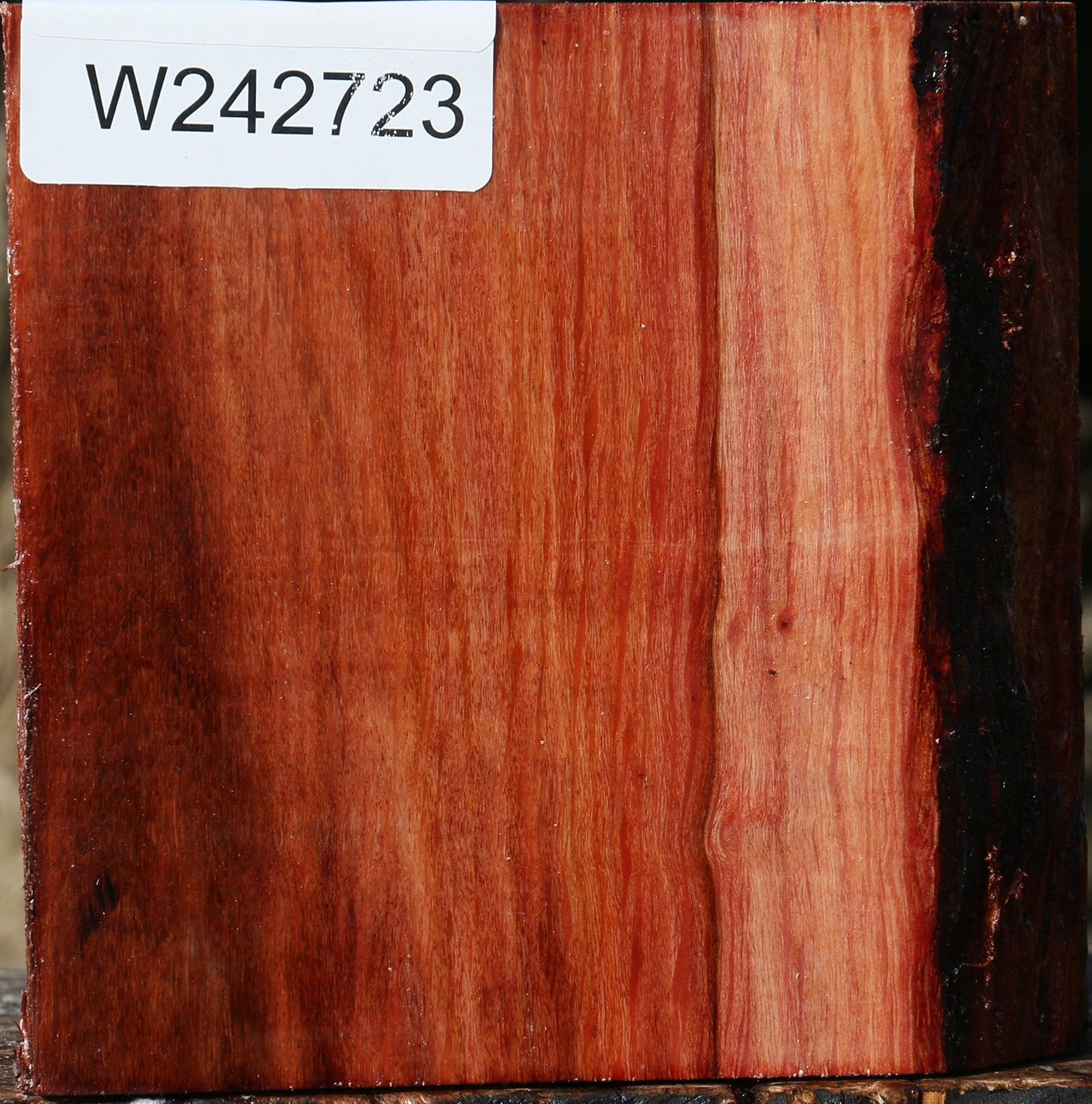 Extra Fancy Beefwood Bowl Blank