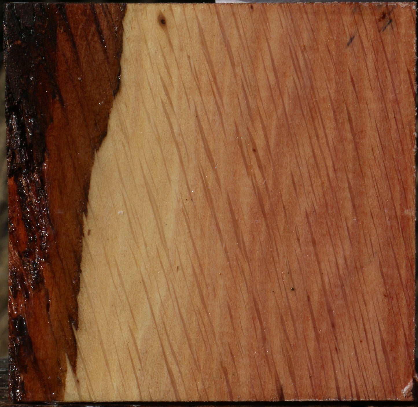 Extra Fancy Beefwood Bowl Blank