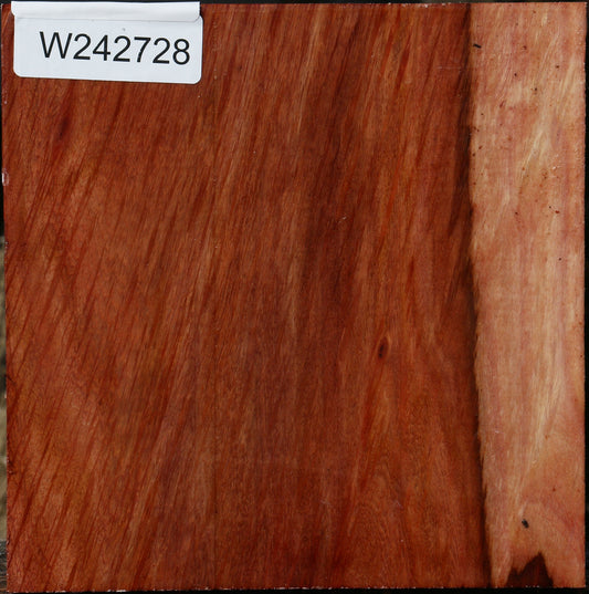 Figured Beefwood Bowl Blank