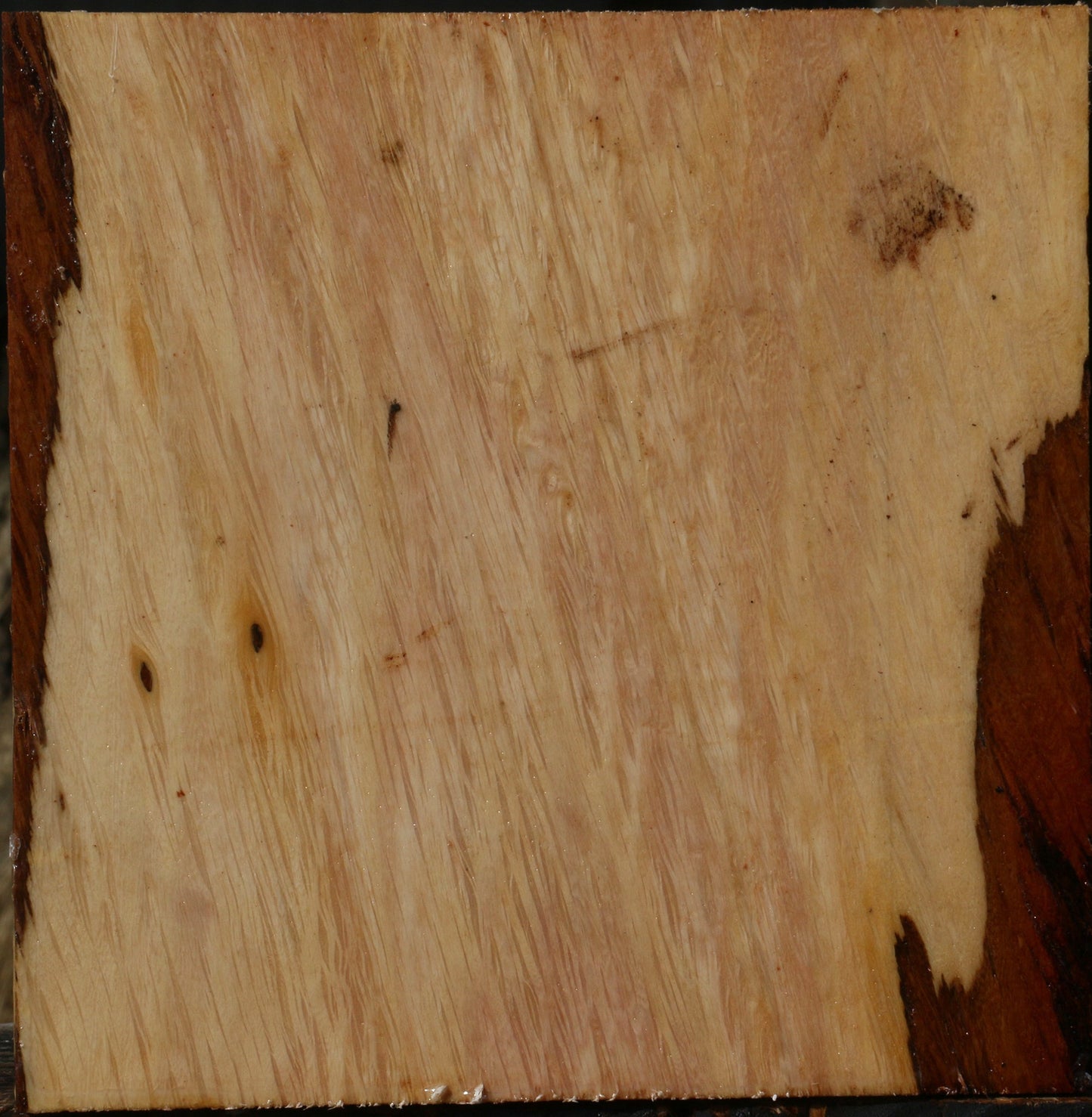 Figured Beefwood Bowl Blank