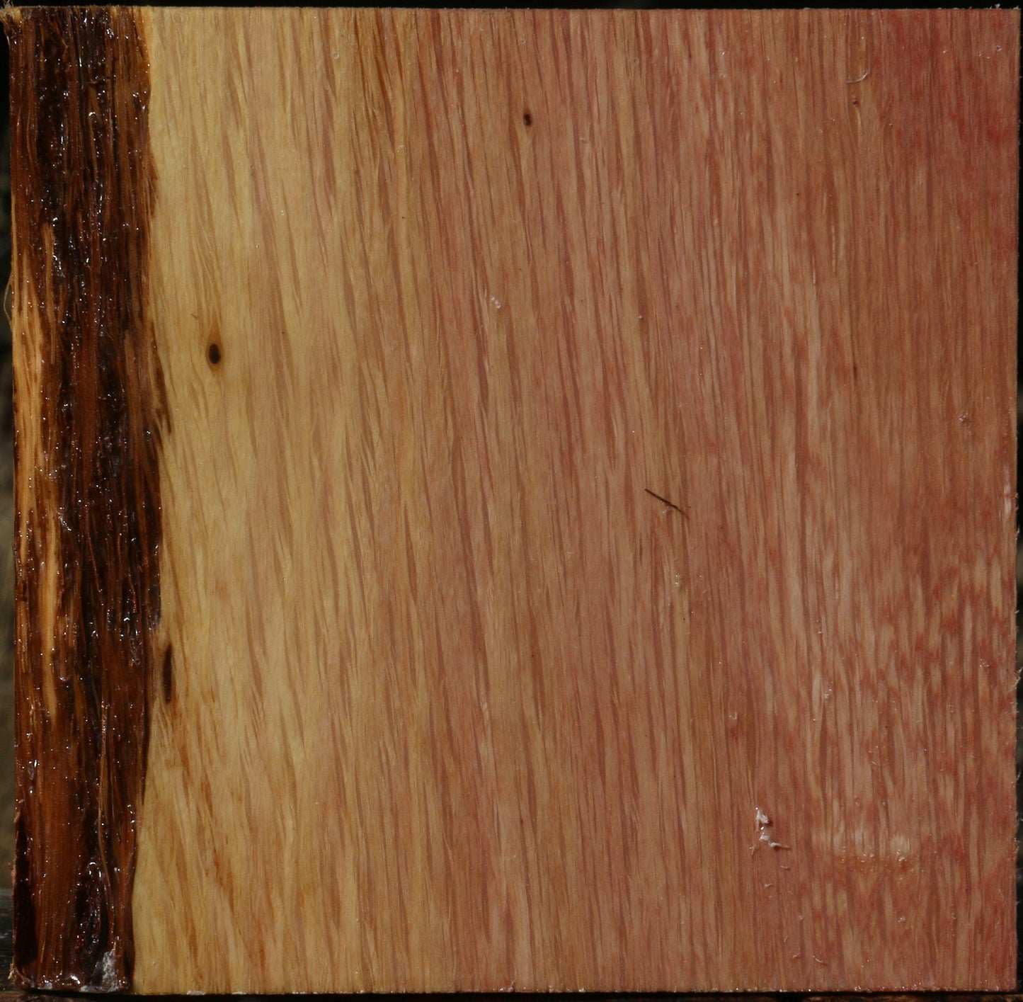 Figured Beefwood Bowl Blank