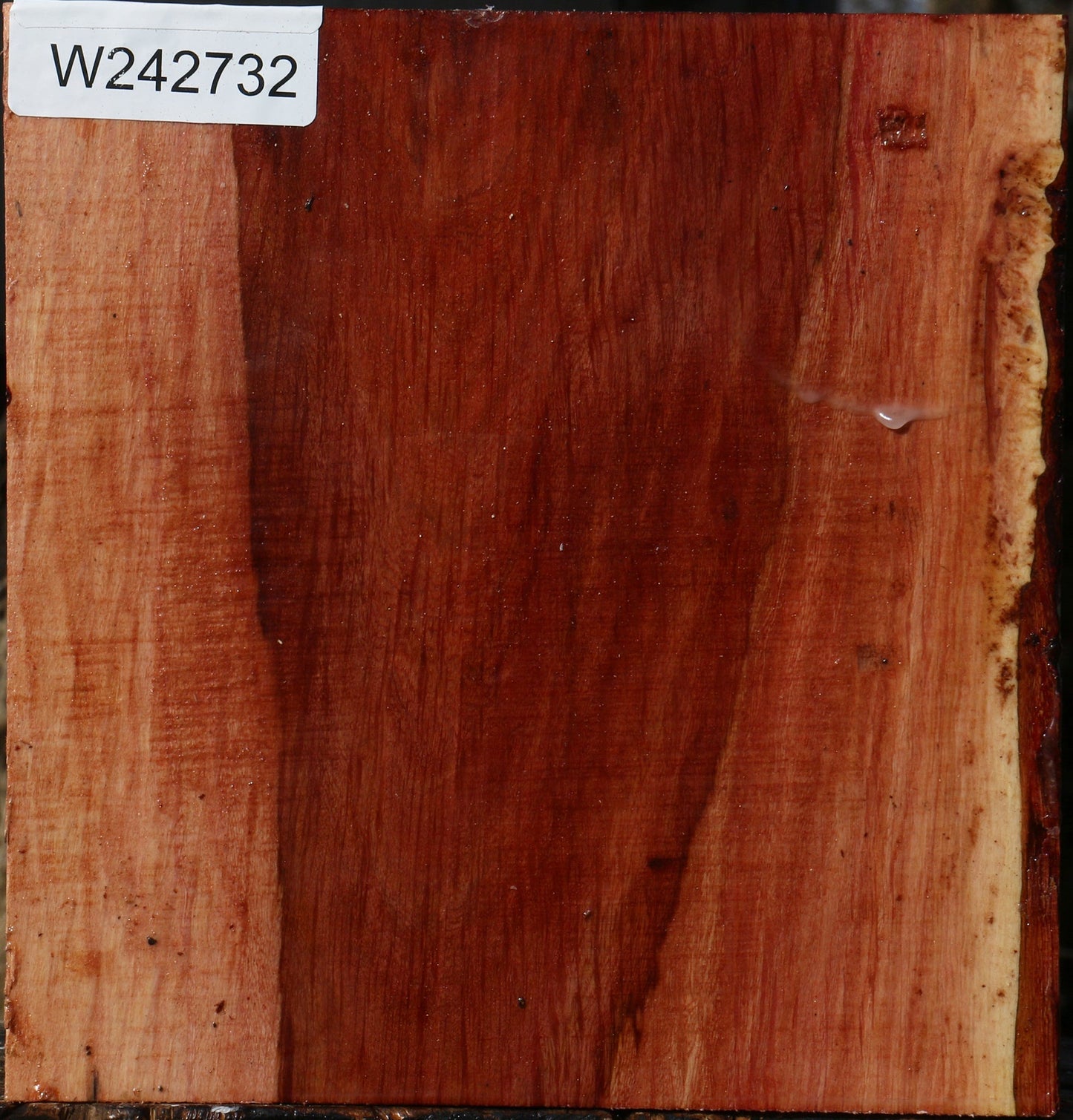 Figured Beefwood Bowl Blank