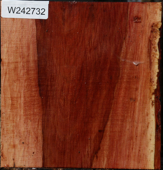 Figured Beefwood Bowl Blank