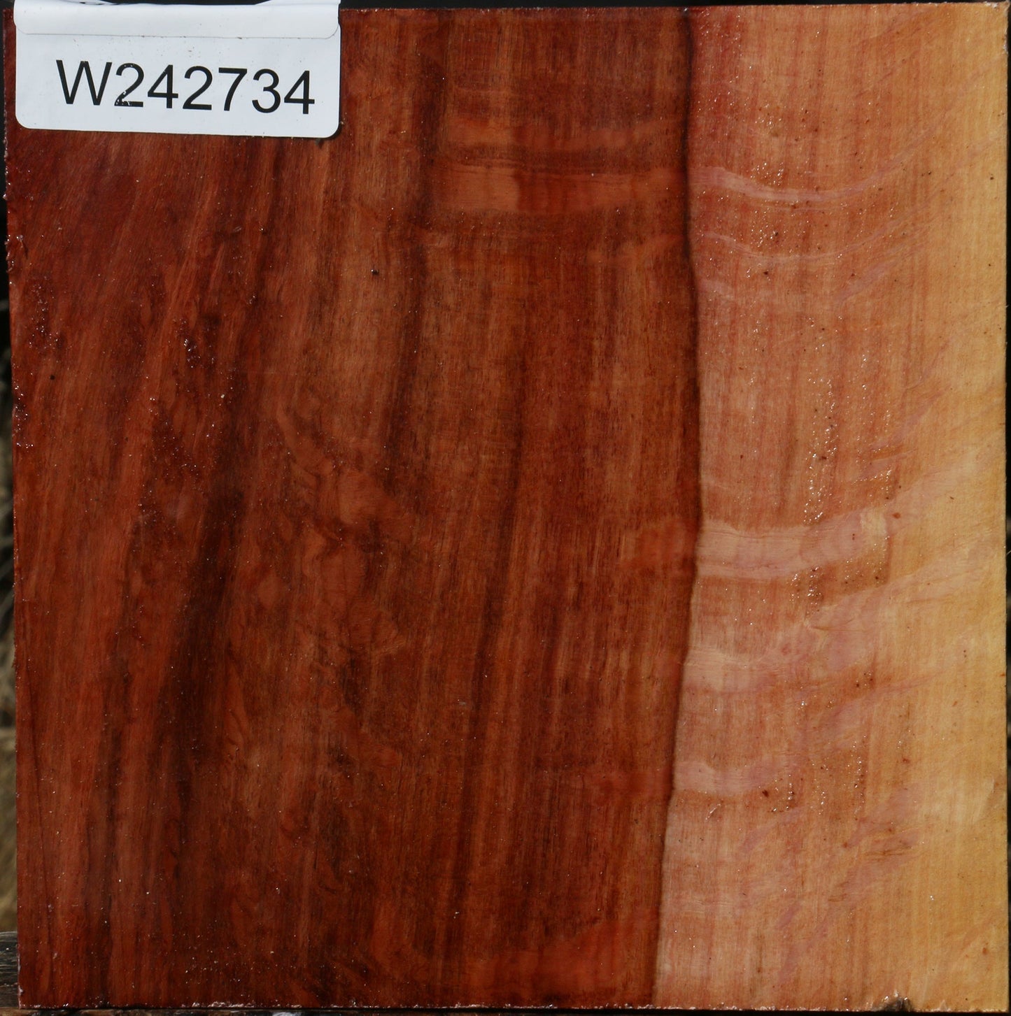 Extra Fancy Beefwood Bowl Blank