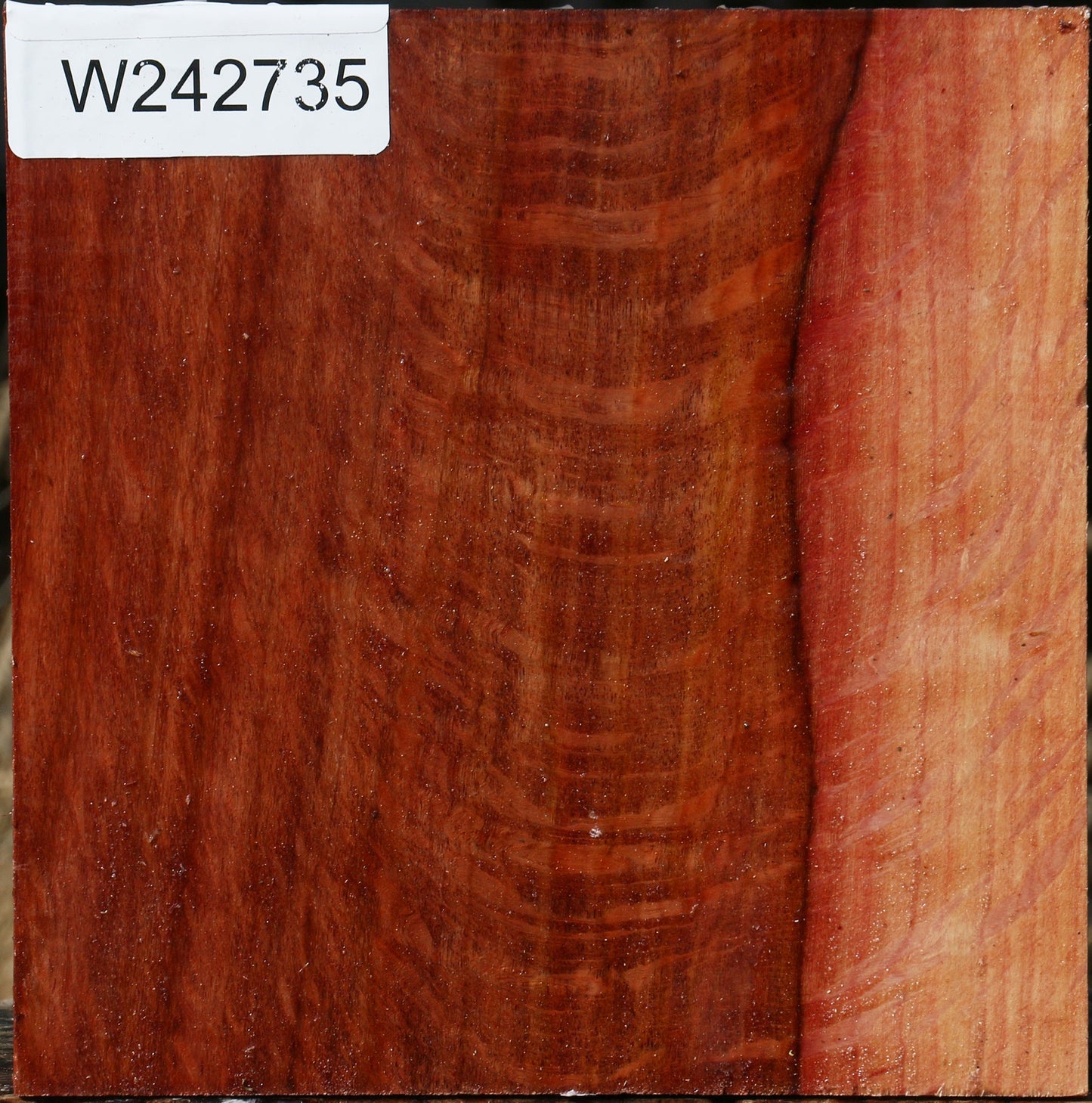 Extra Fancy Beefwood Bowl Blank