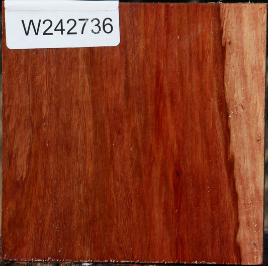 Figured Beefwood Bowl Blank