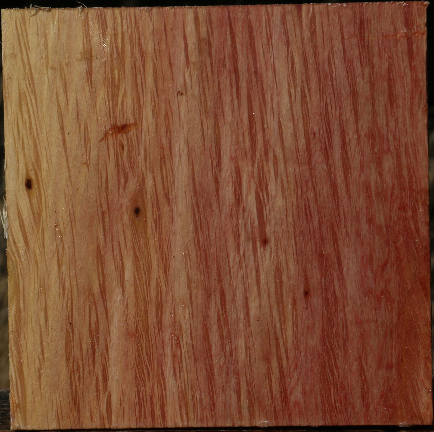 Figured Beefwood Bowl Blank