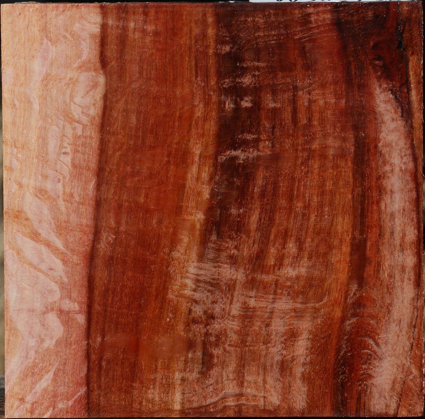 Figured Beefwood Bowl Blank