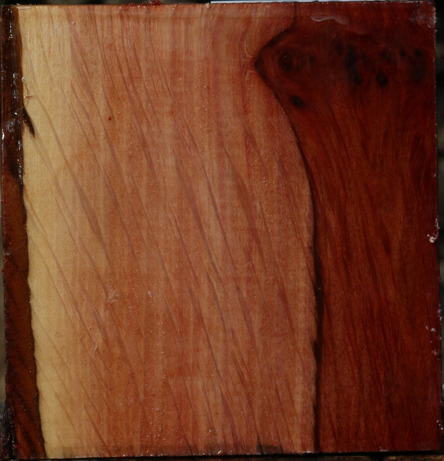 Extra Fancy Beefwood Bowl Blank