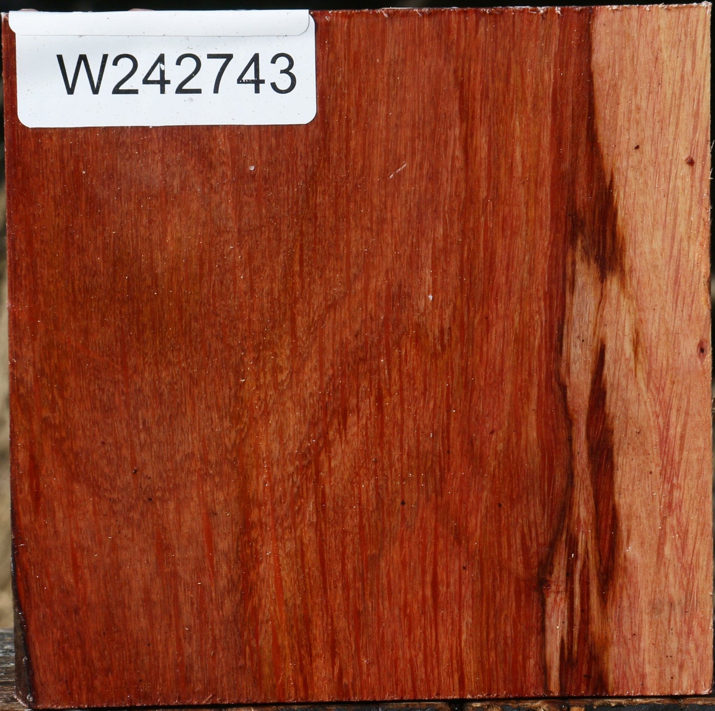 Figured Beefwood Bowl Blank