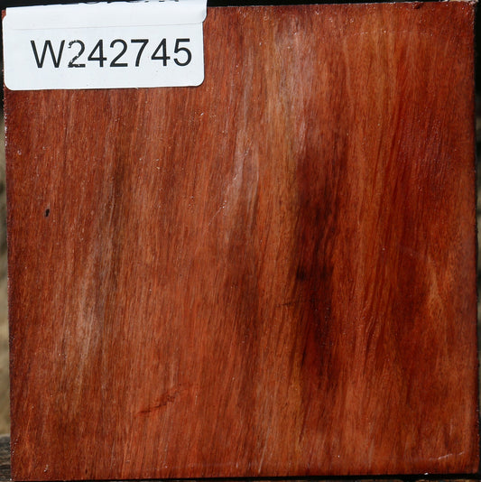 Extra Fancy Beefwood Bowl Blank