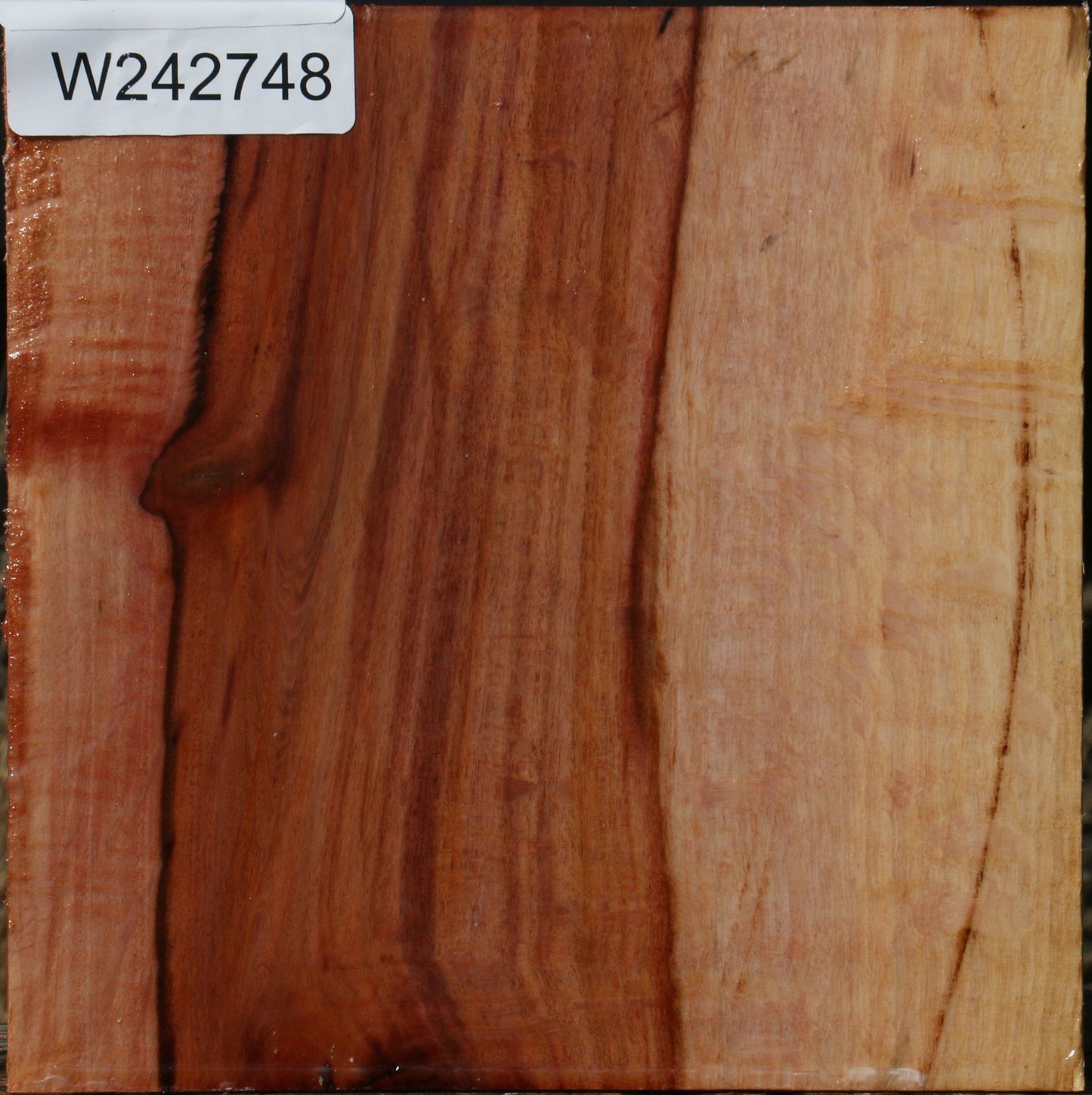 Figured Beefwood Bowl Blank