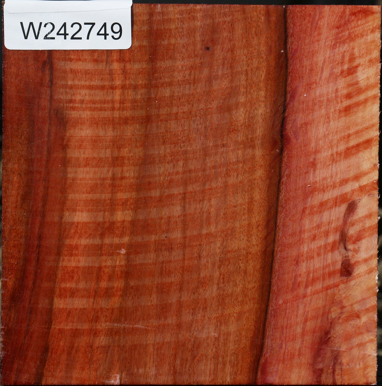 Extra Fancy Beefwood Bowl Blank