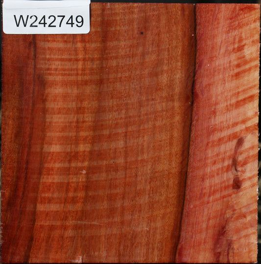 Extra Fancy Beefwood Bowl Blank