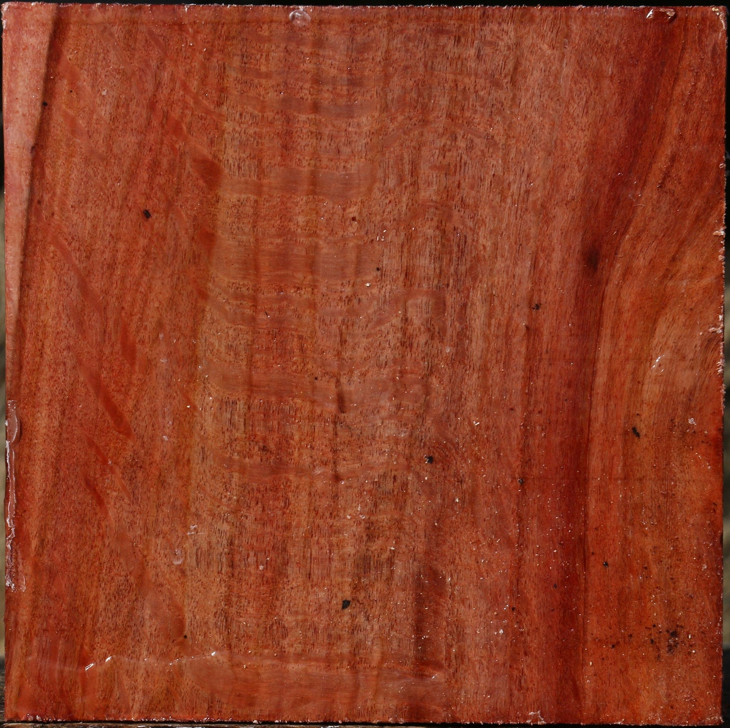 Figured Beefwood Bowl Blank