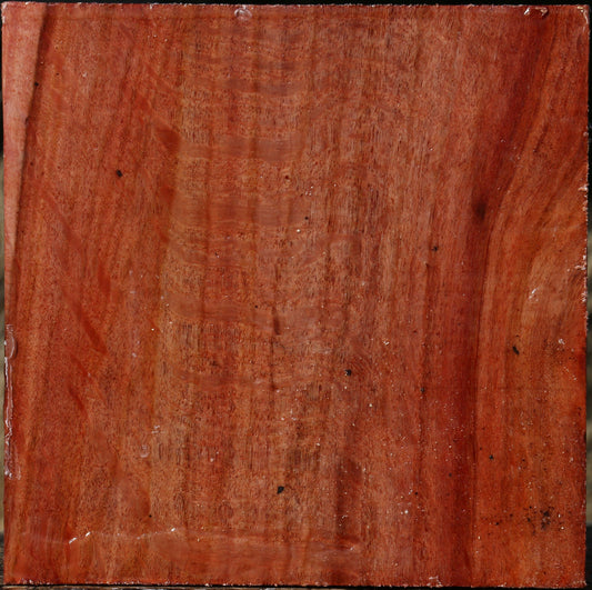 Figured Beefwood Bowl Blank