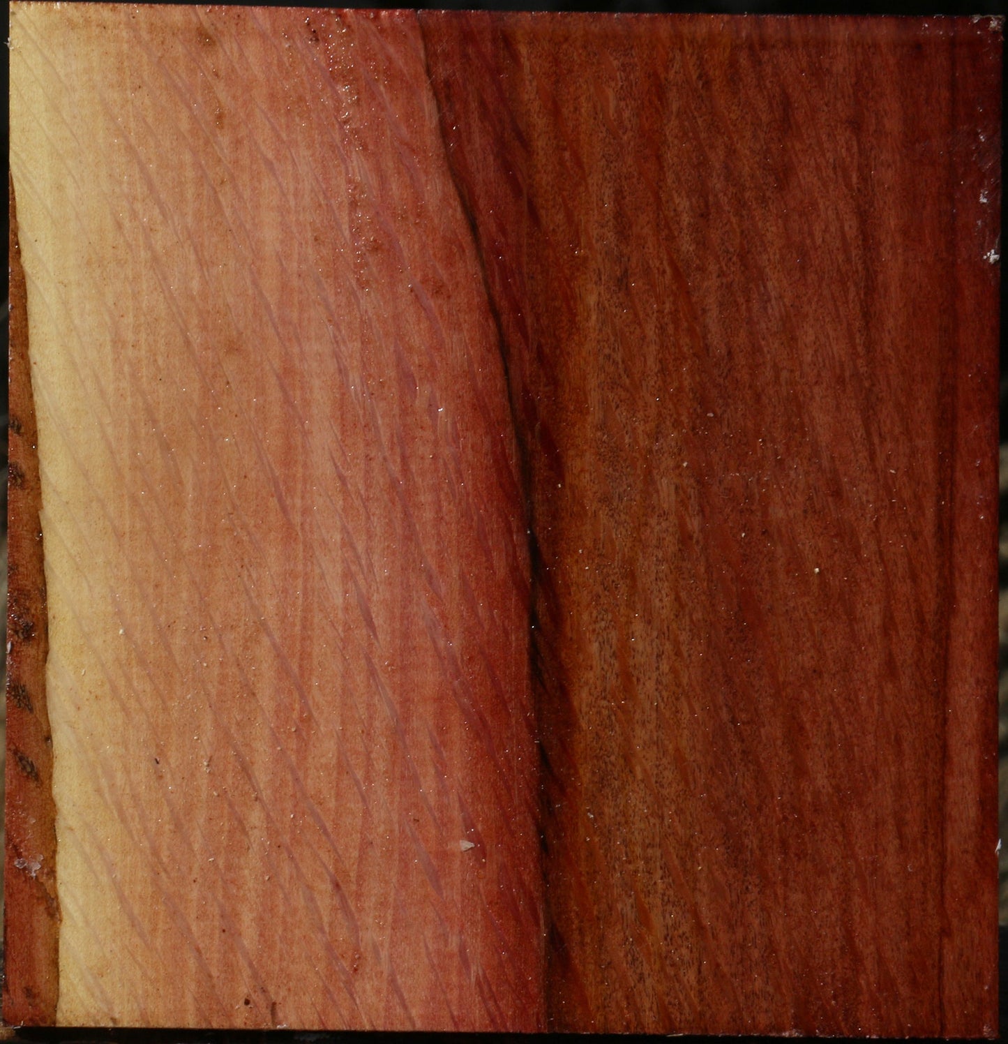 Extra Fancy Beefwood Bowl Blank