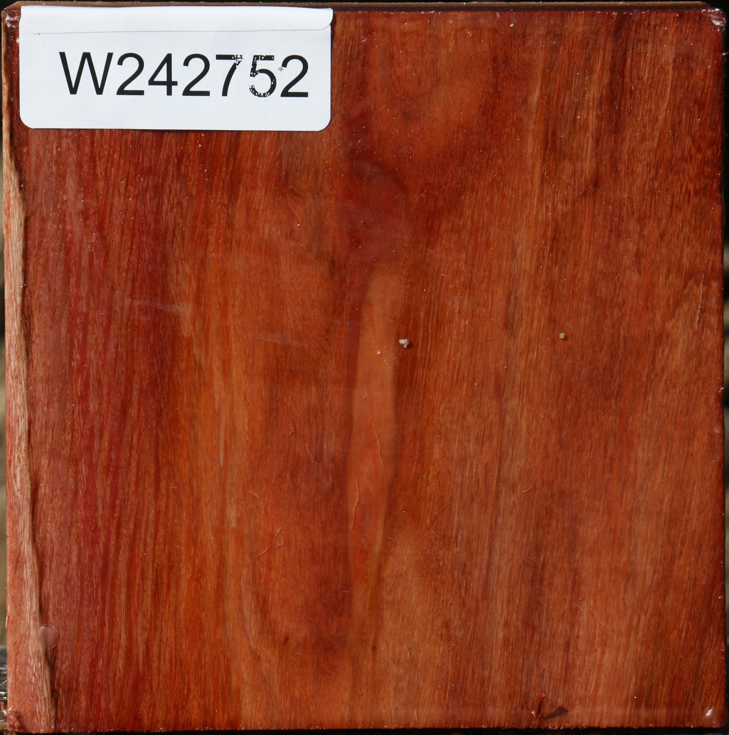 Figured Beefwood Bowl Blank