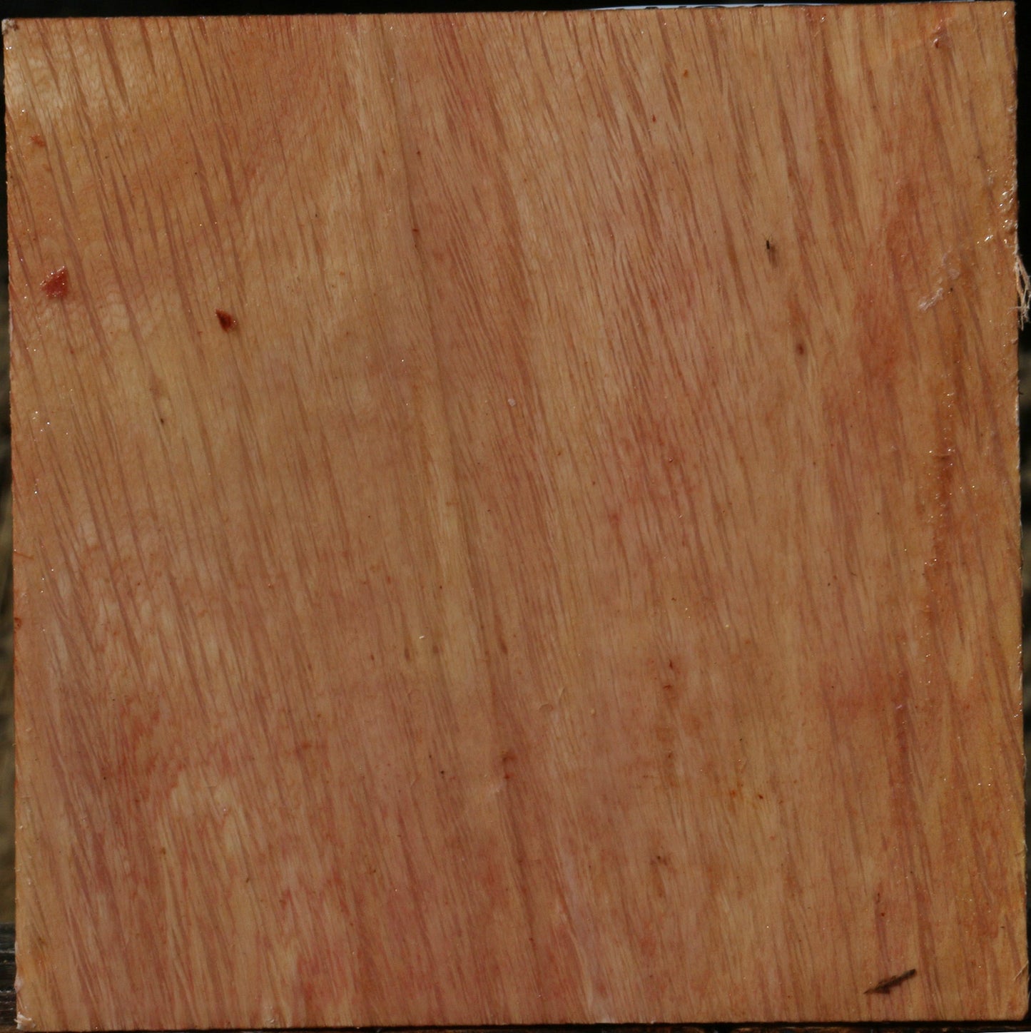 Figured Beefwood Bowl Blank