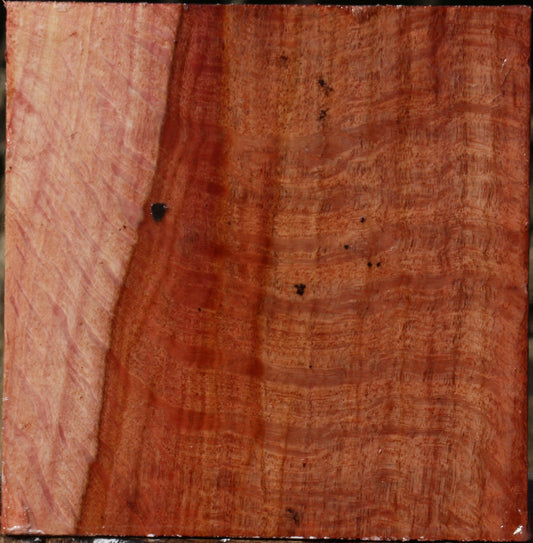 Figured Beefwood Bowl Blank