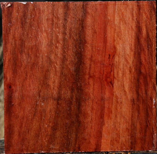 Extra Fancy Beefwood Bowl Blank