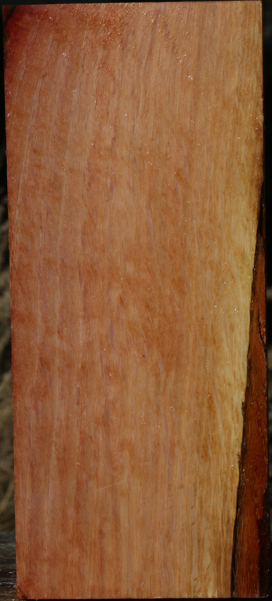 Figured Beefwood Vessel Blank
