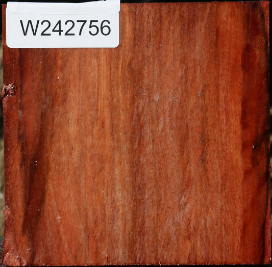 Figured Beefwood Bowl Blank