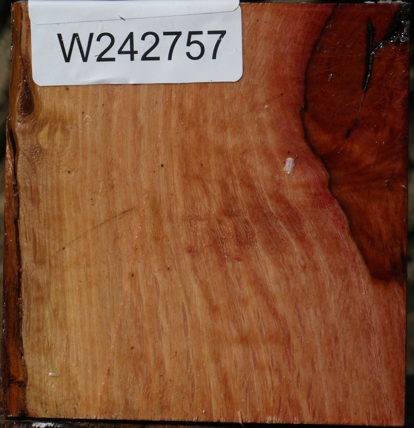 Extra Fancy Beefwood Bowl Blank