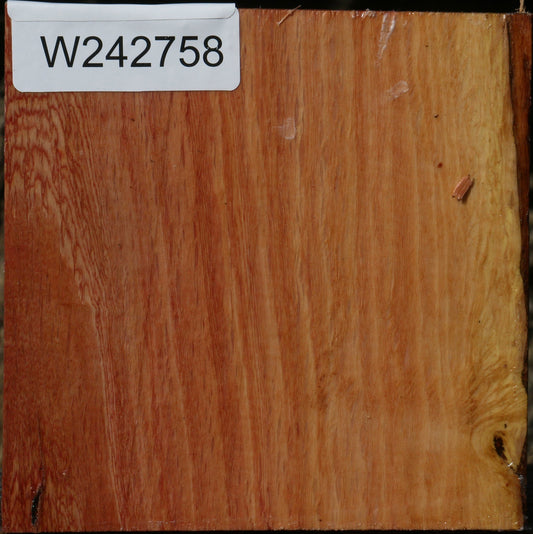 Figured Beefwood Bowl Blank