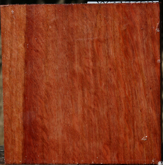 Figured Beefwood Bowl Blank