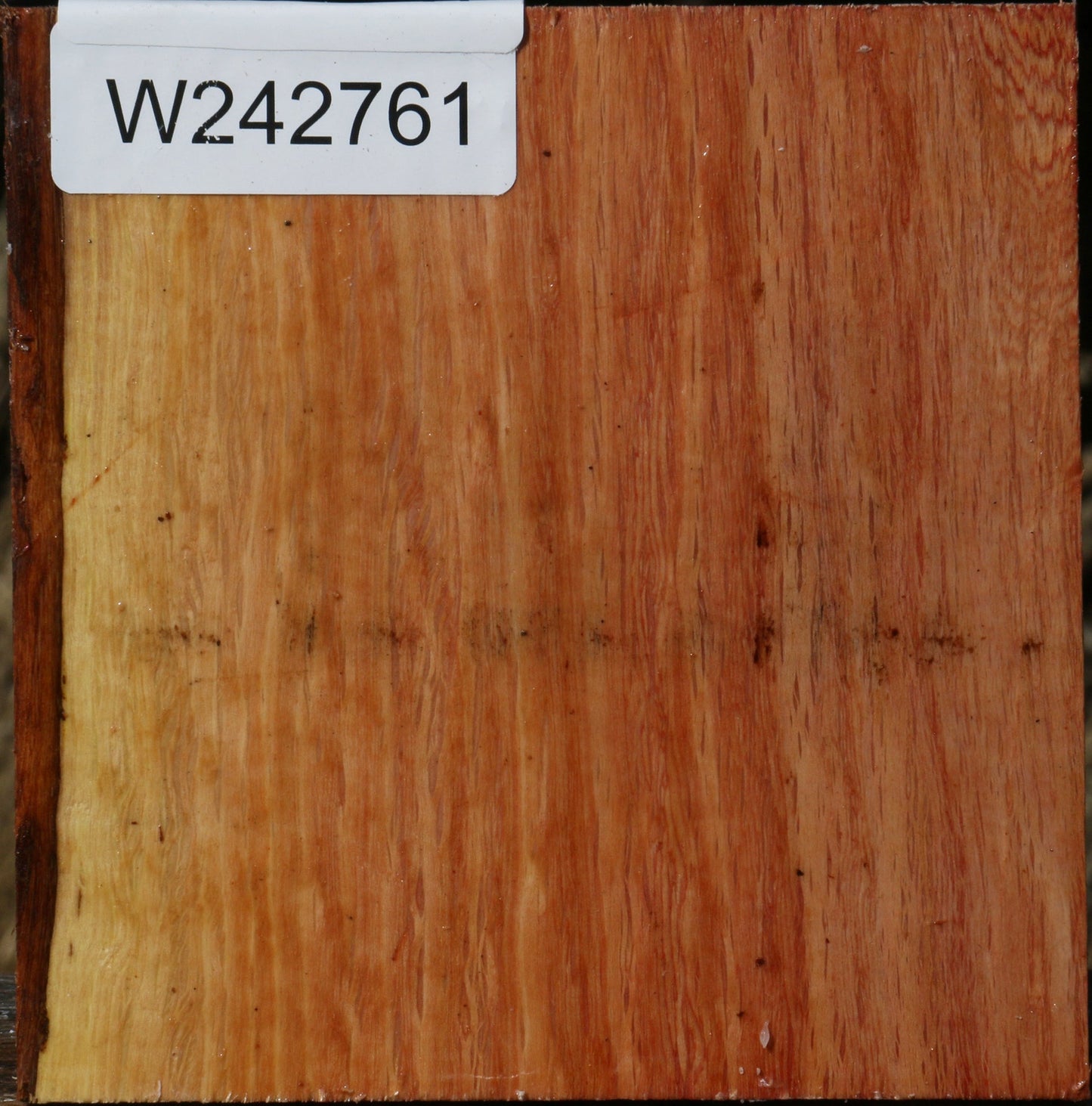 Figured Beefwood Bowl Blank