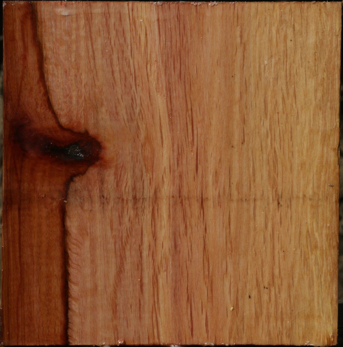 Figured Beefwood Bowl Blank