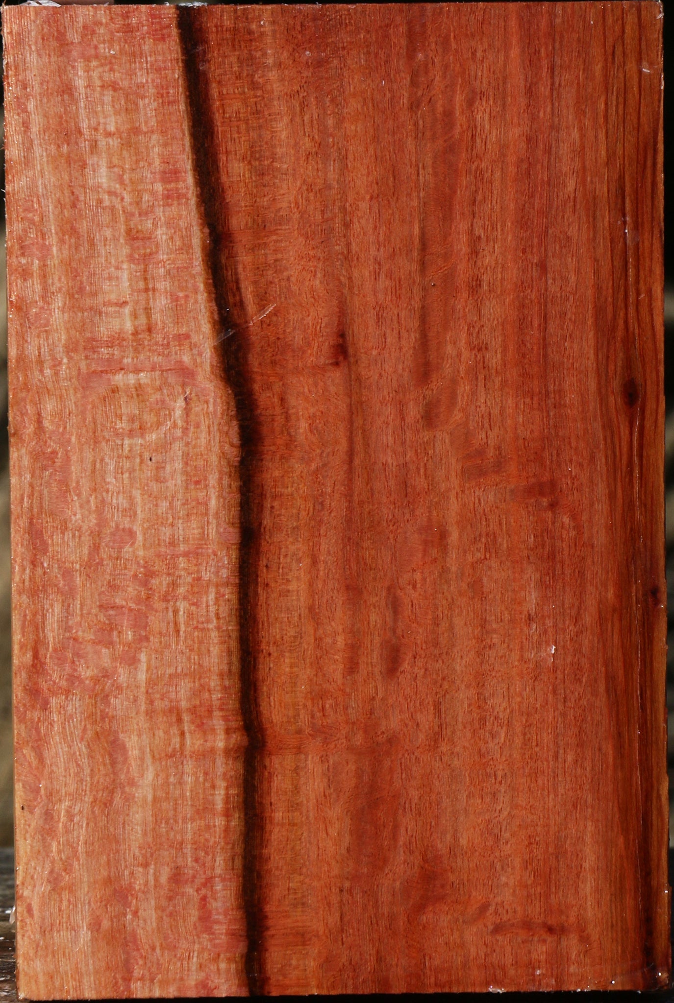 Figured Beefwood Bowl Blank