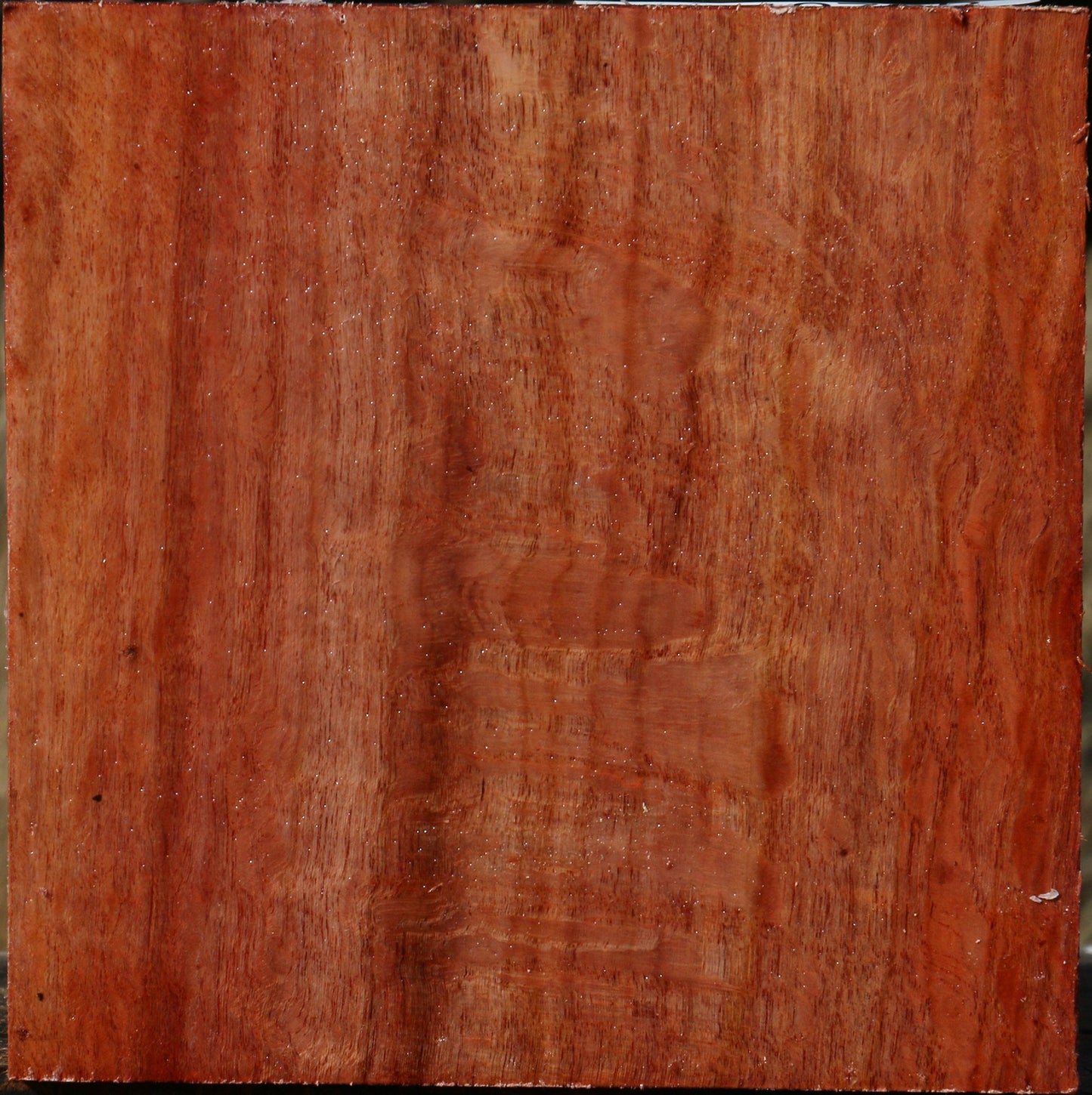 Figured Beefwood Bowl Blank