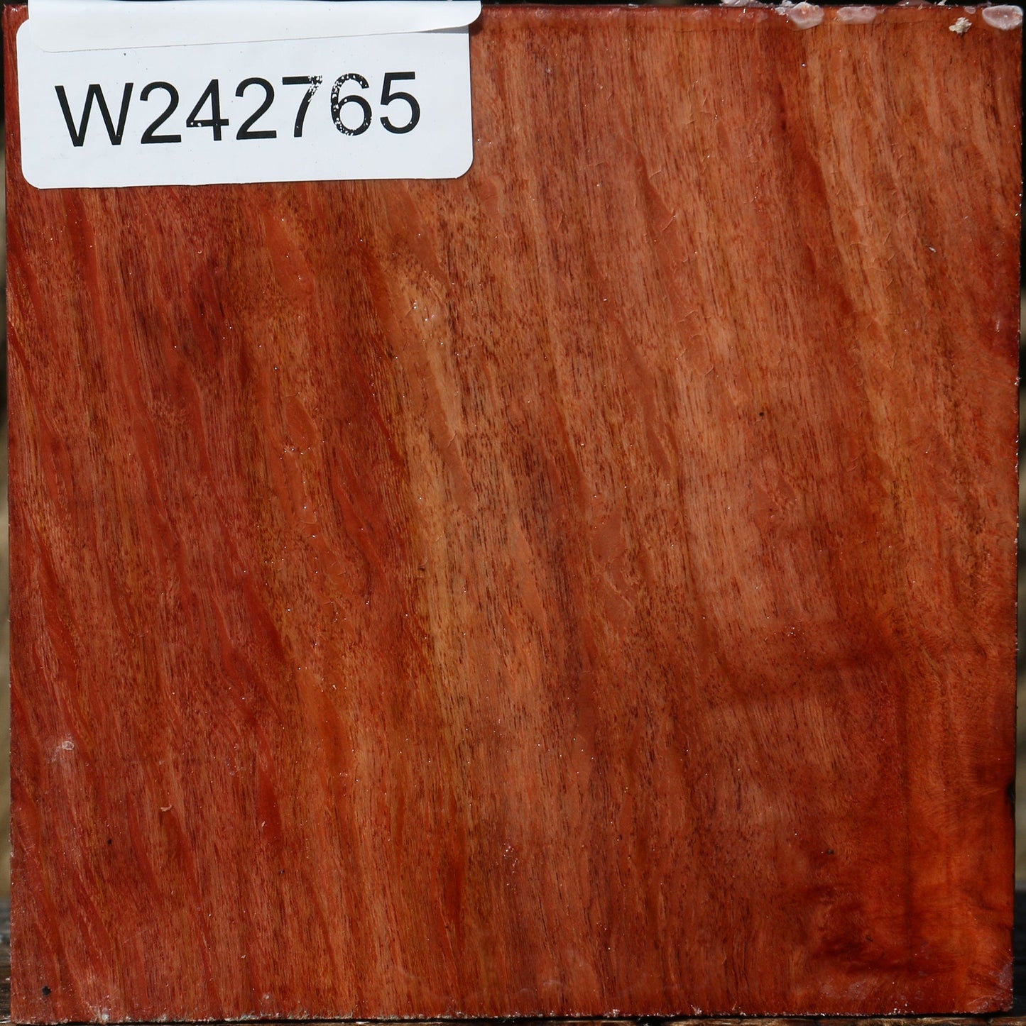 Figured Beefwood Bowl Blank