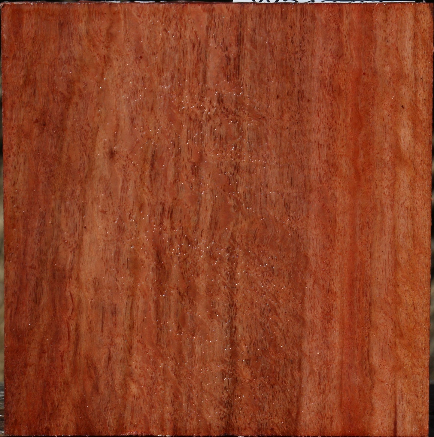 Figured Beefwood Bowl Blank