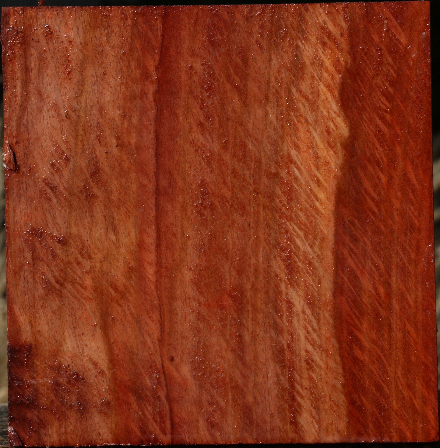 Extra Fancy Beefwood Bowl Blank