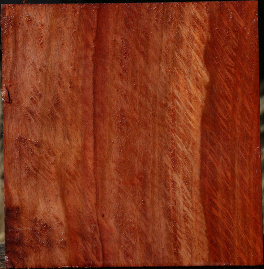 Extra Fancy Beefwood Bowl Blank