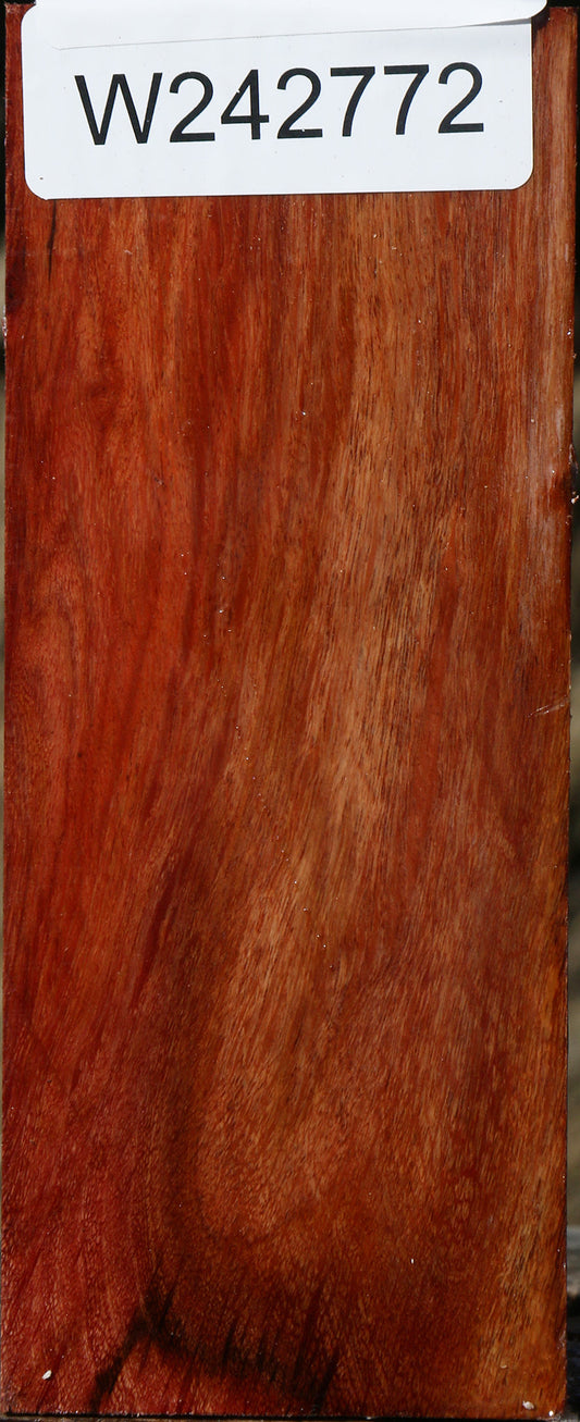 Figured Beefwood Turning Square