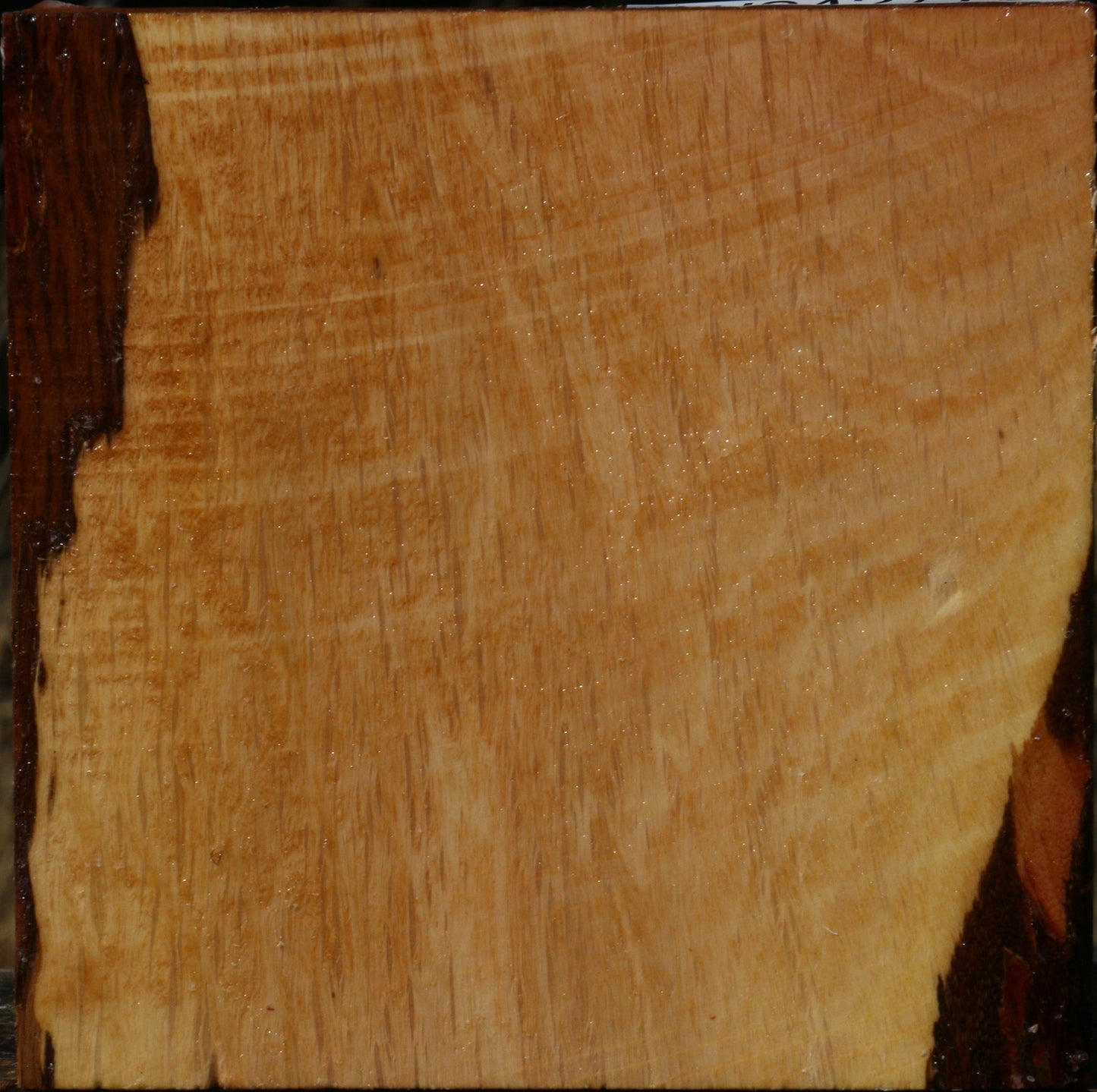 Figured Beefwood Bowl Blank