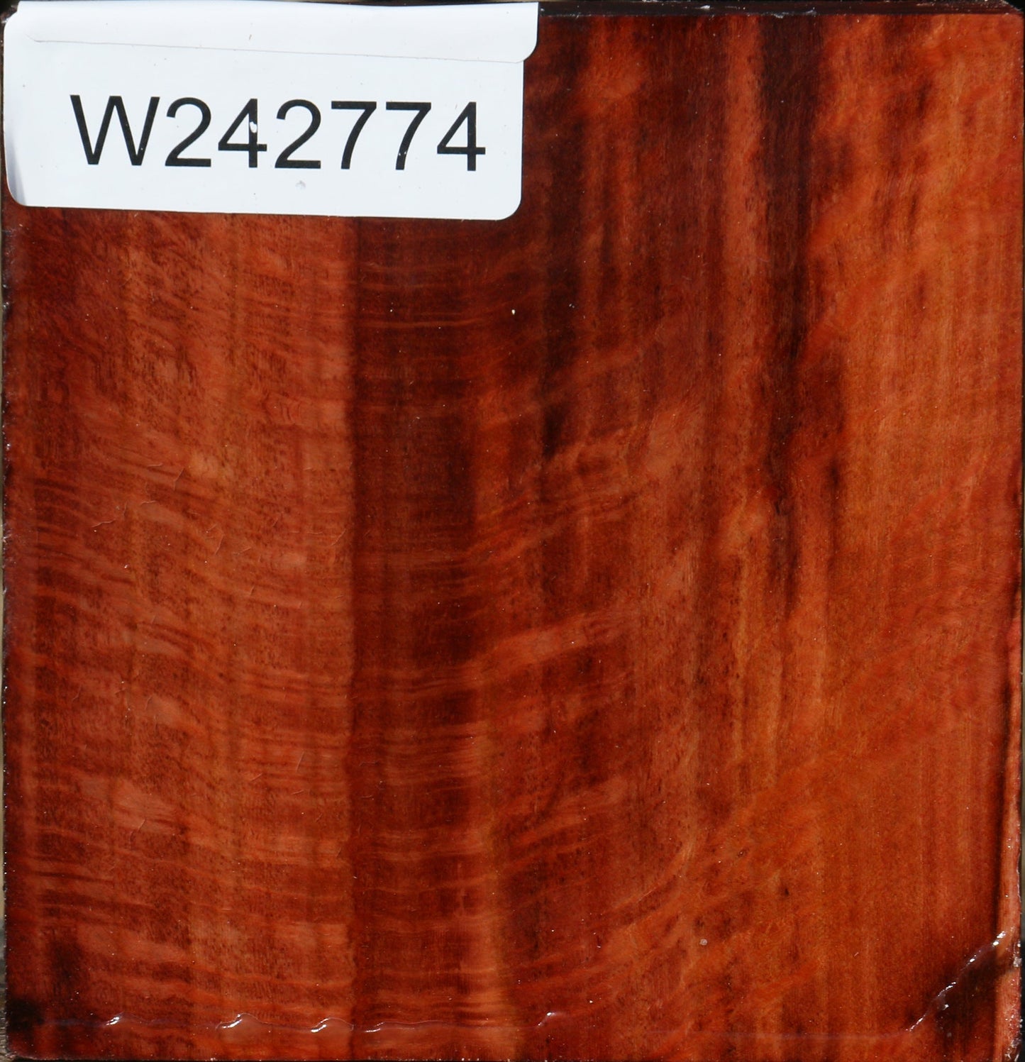 Figured Beefwood Bowl Blank