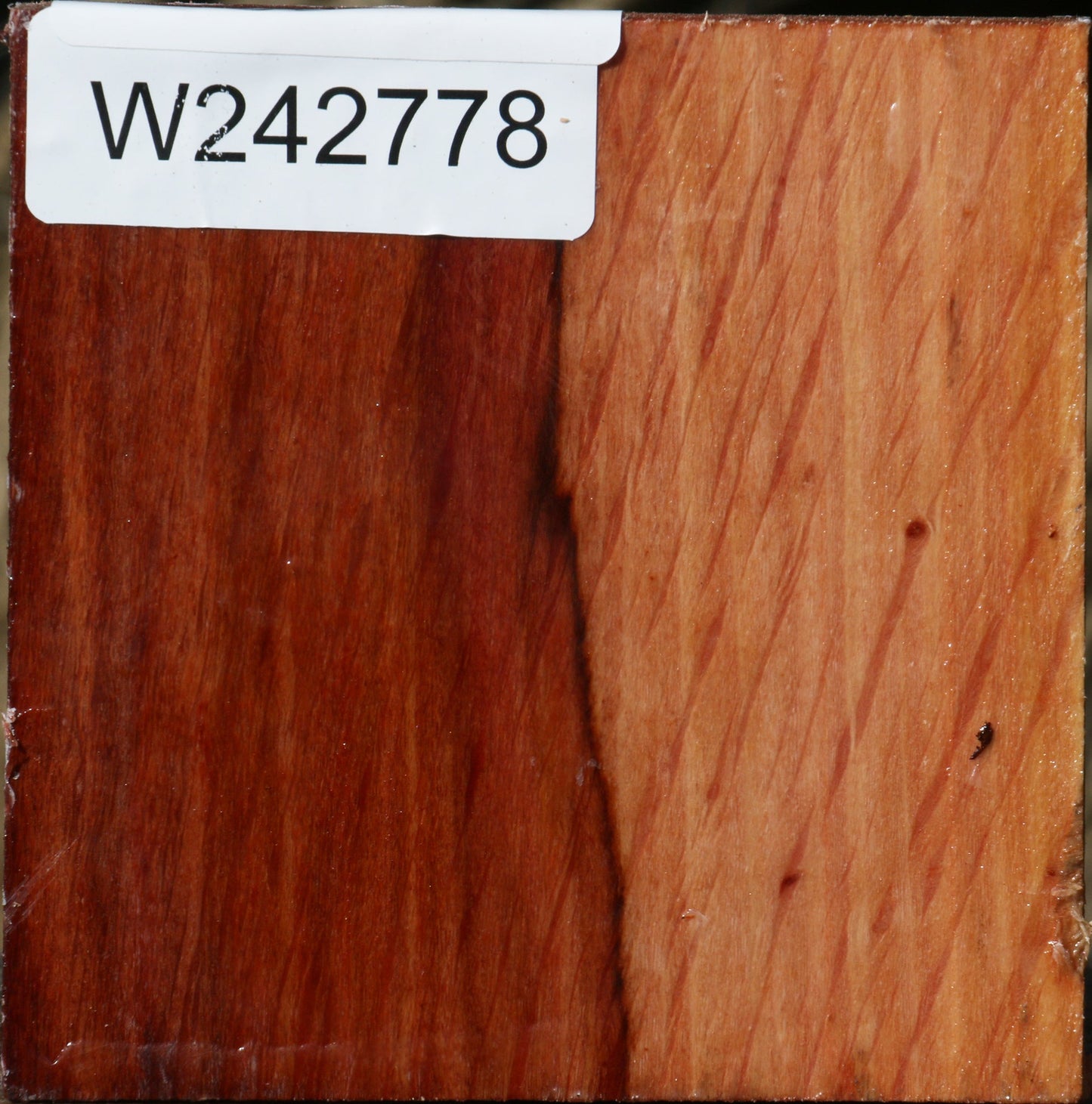 Extra Fancy Beefwood Bowl Blank