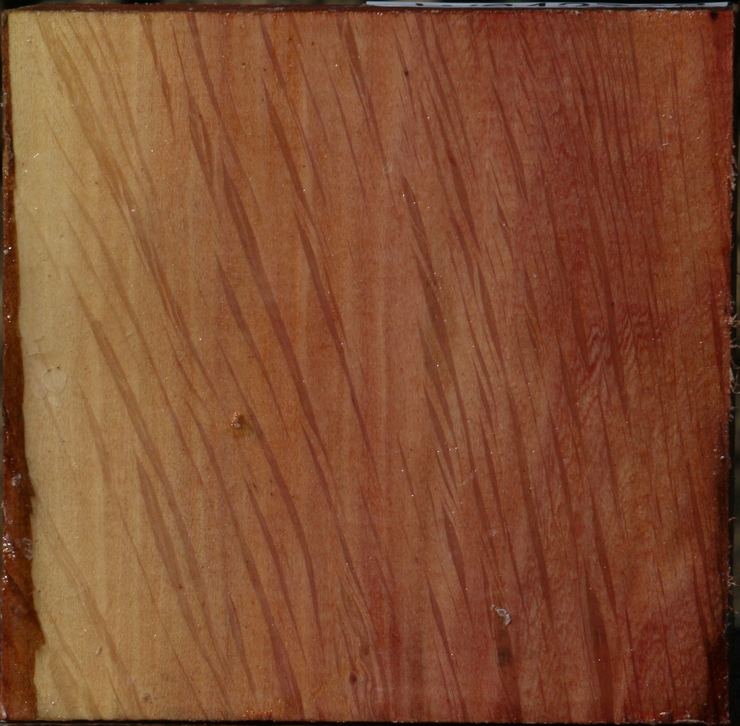 Figured Beefwood Bowl Blank