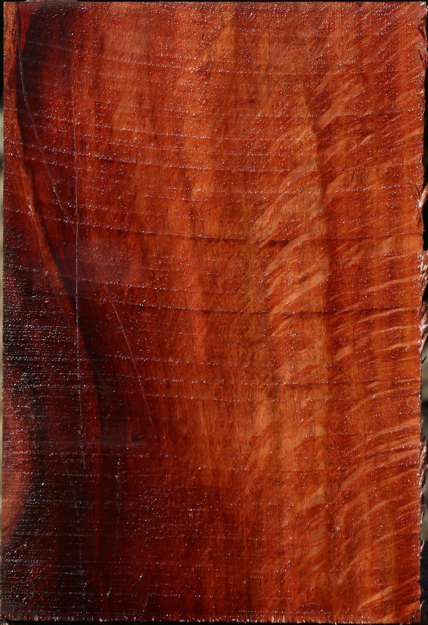 Extra Fancy Beefwood Turning Square