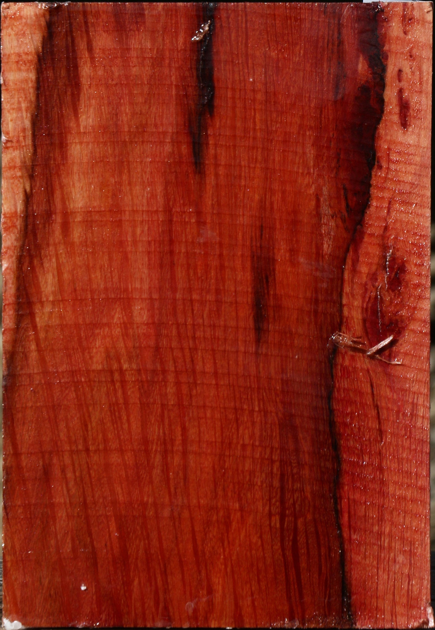 Extra Fancy Beefwood Turning Square