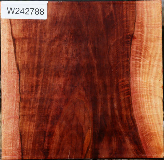 Extra Fancy Beefwood Bowl Blank