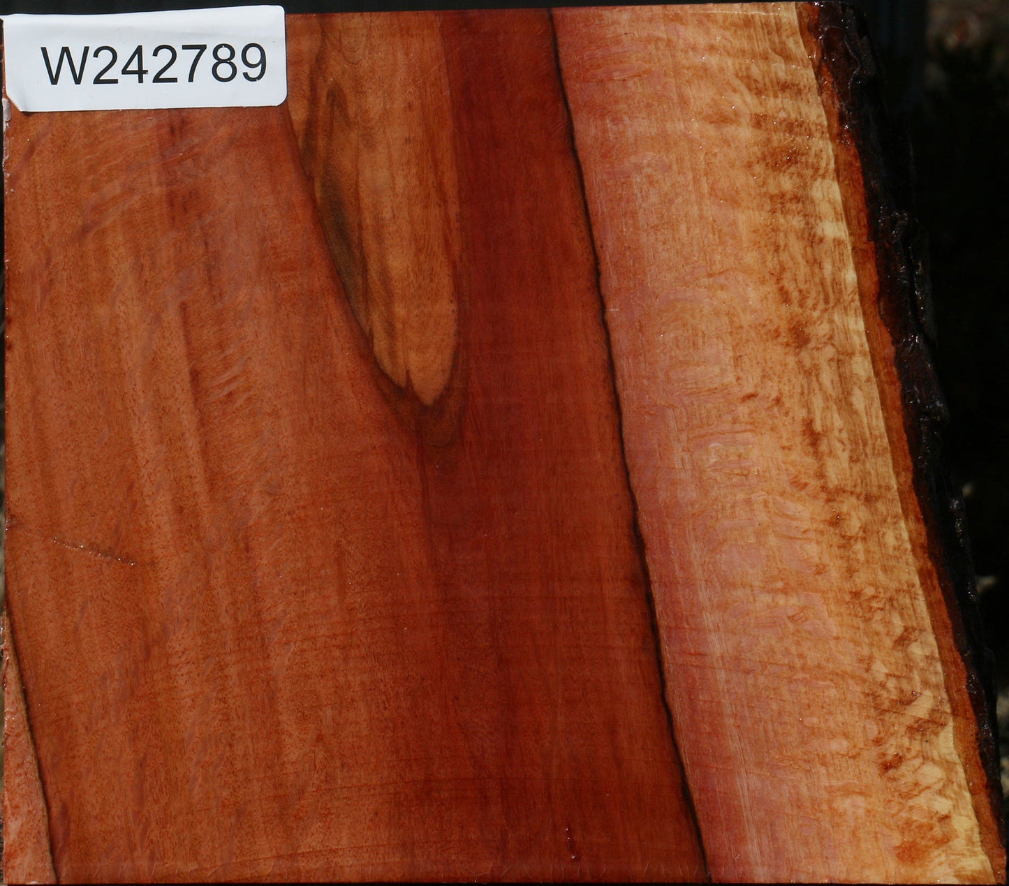 Figured Beefwood Live Edge Bowl Blank